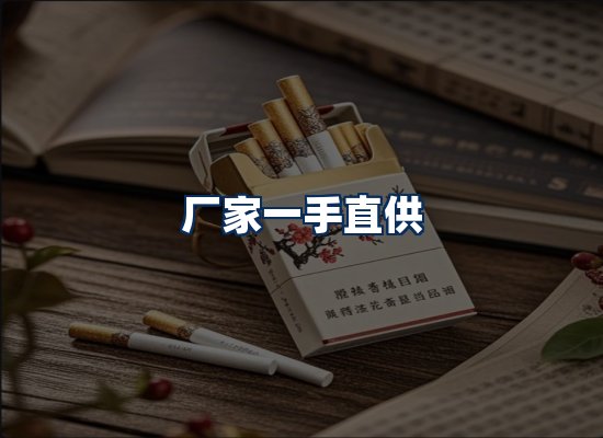 专业团队办公环境